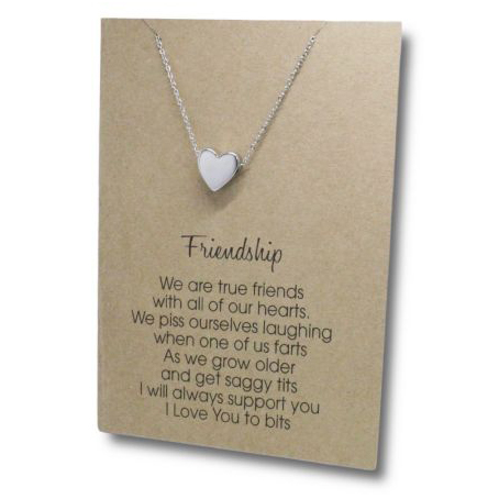 Stainless Steel Necklace On Message Card-Heart Friendship