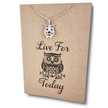 Stainless Steel Necklace On Message Card Owl Live for TodayNECKLACE264